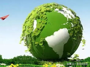 中國(guó)農(nóng)業(yè)十大布局方向 以戰(zhàn)略格局推動(dòng)環(huán)保技術(shù)推廣